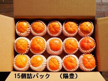 陽豊１５個詰め